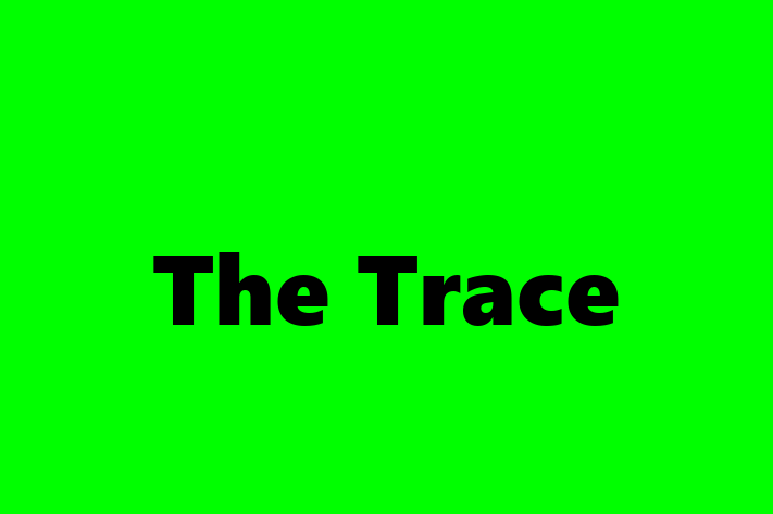 HR Administration The Trace