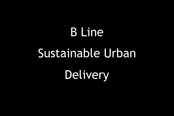 Software Development Firm B Line Sustainable Urban Delivery