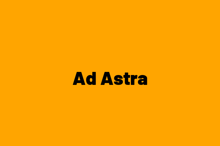 IT Company Ad Astra