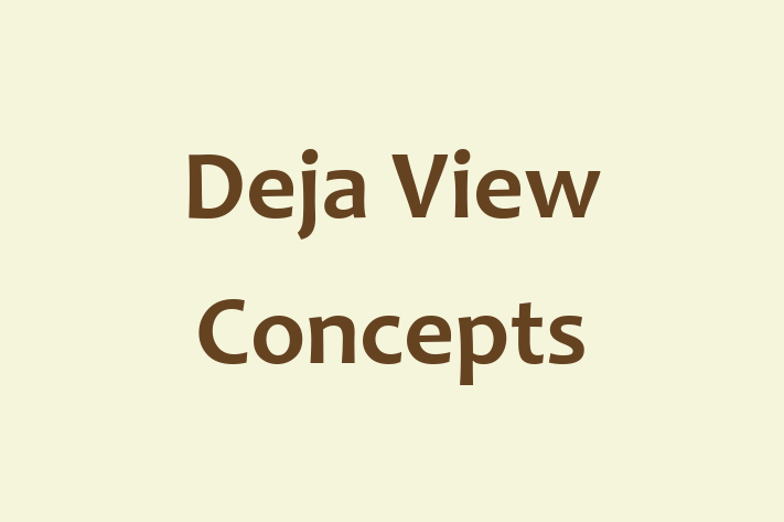 IT Company Deja View Concepts