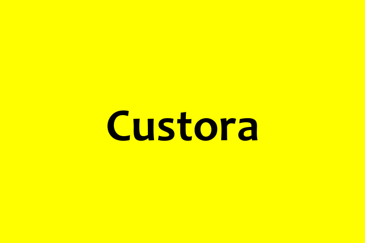 IT Company Custora