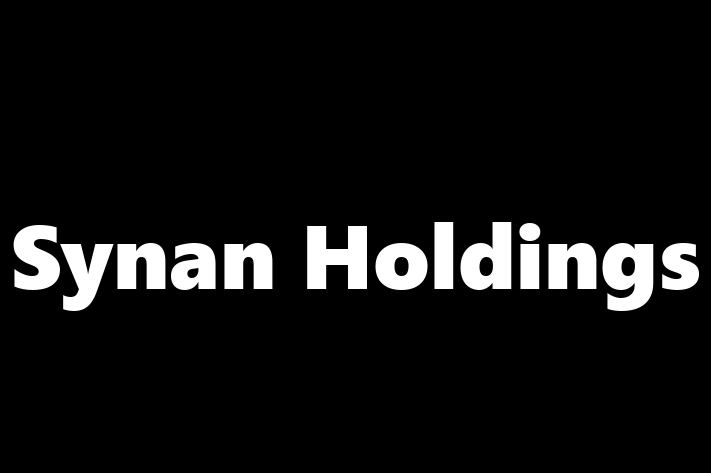 Labor Relations Synan Holdings