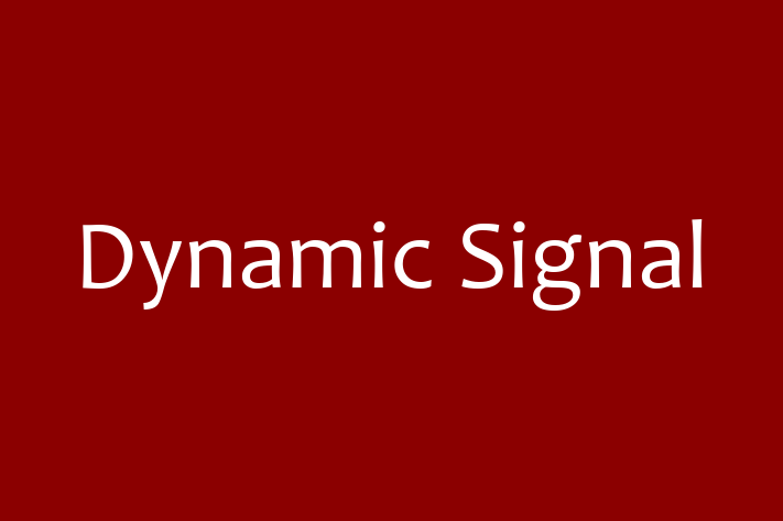 Software Consultancy Dynamic Signal