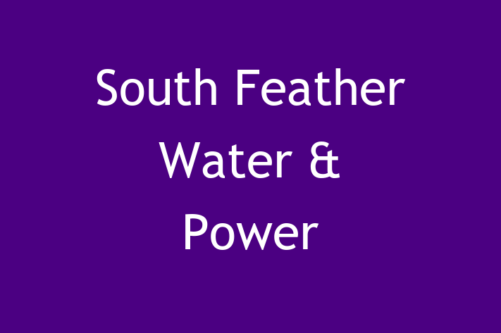 Electrotechnicians South Feather Water Power