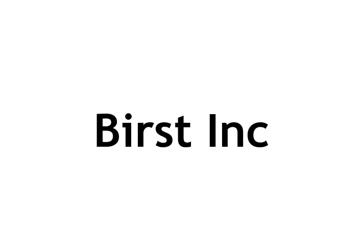 Tech Solutions Company Birst Inc