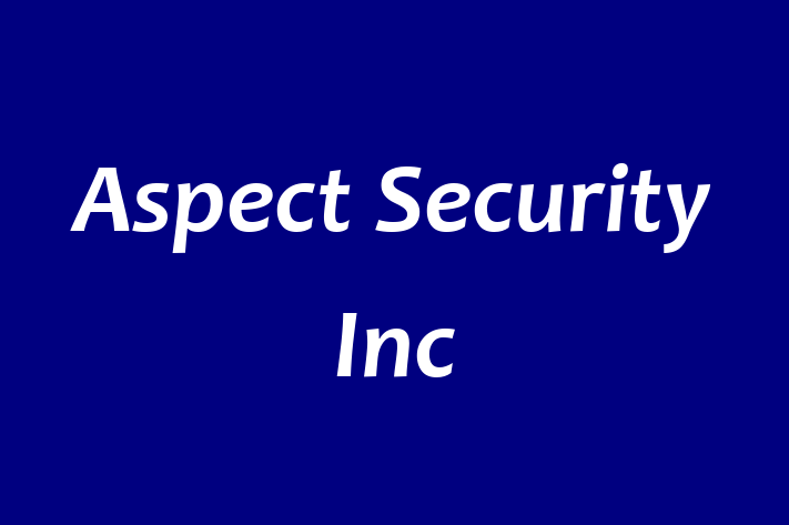 Application Development Company Aspect Security Inc