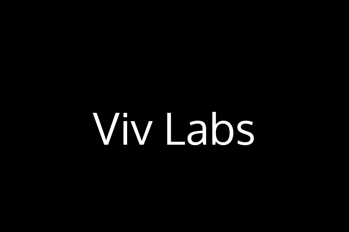 Software Development Company Viv Labs