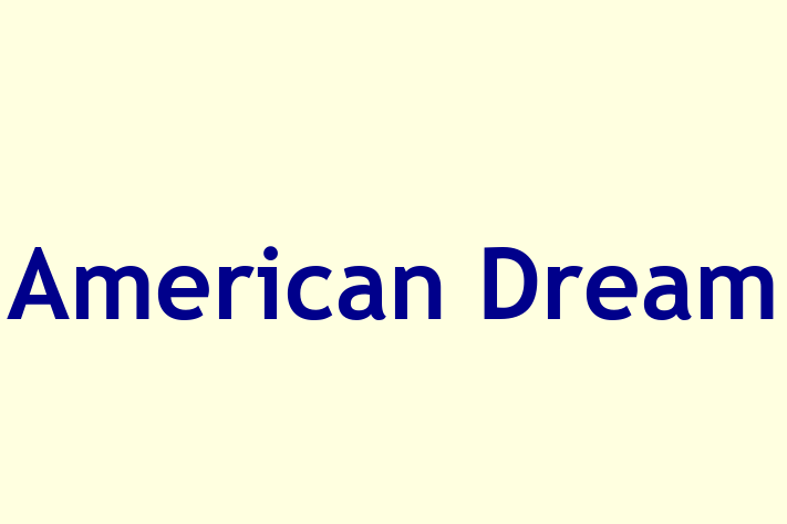 Workforce Management American Dream