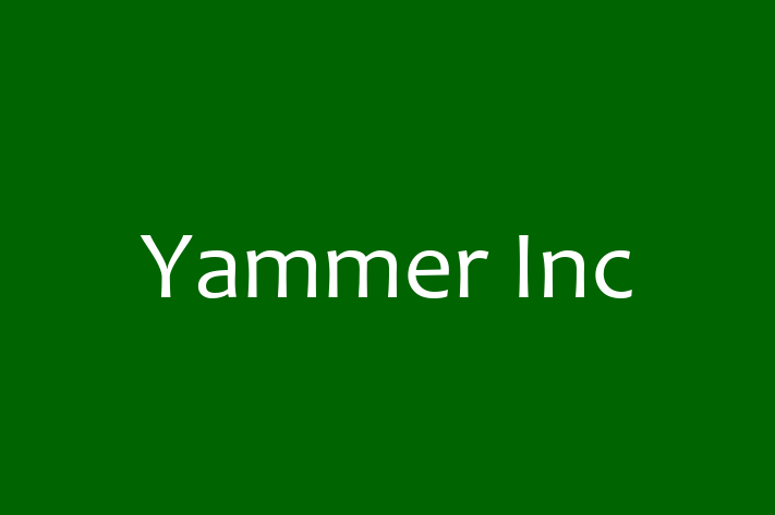 Technology Company Yammer Inc