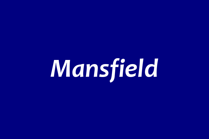 Tech Firm Mansfield