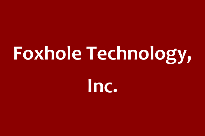 Software Development Company Foxhole Technology Inc.