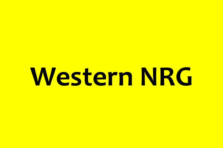 Technology Solutions Firm Western NRG