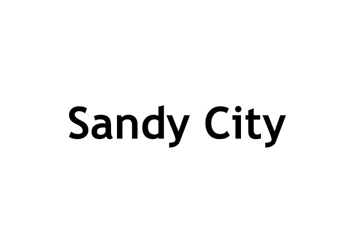 Talent Management Sandy City