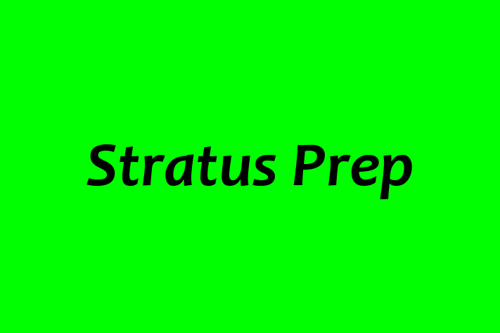 Software Development Firm Stratus Prep