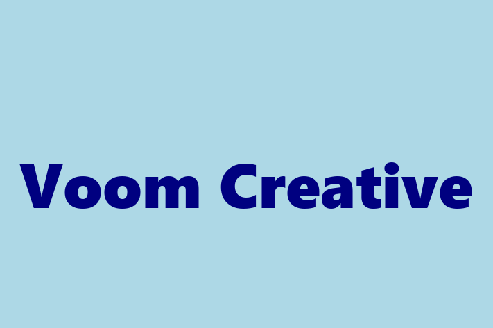 Technology Company Voom Creative