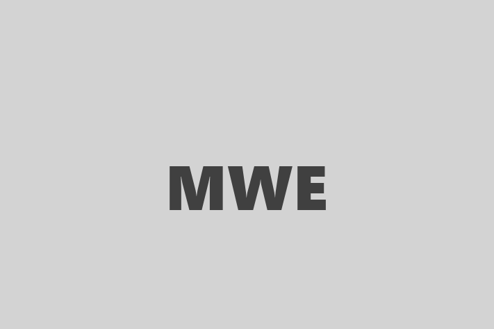 Software Consultancy MWE