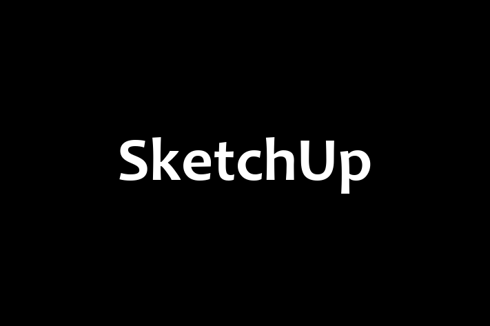 Technology Solutions Firm SketchUp