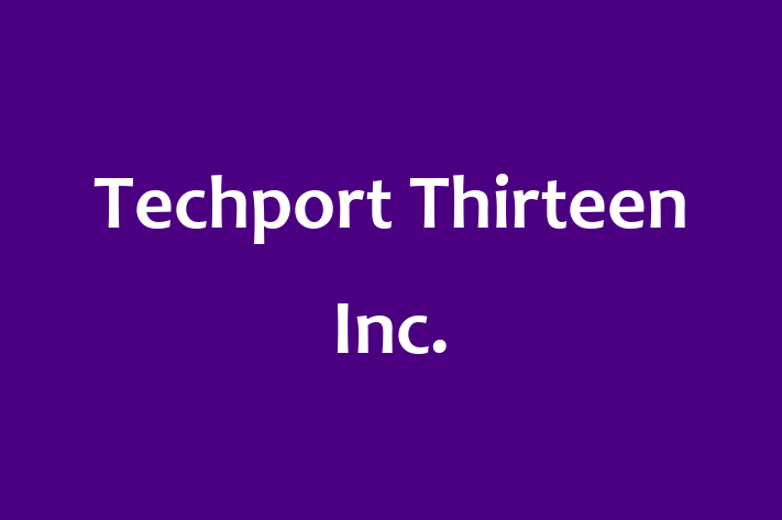 Software Consultancy Techport Thirteen Inc.