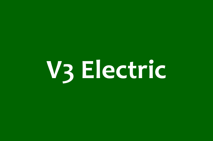 Software Services Company V3 Electric