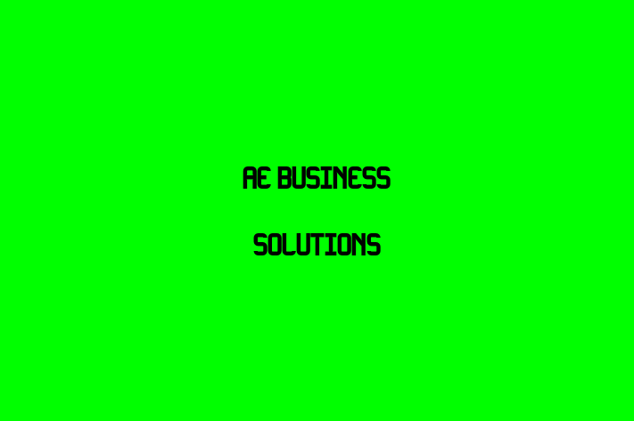 Human Capital Management AE Business Solutions