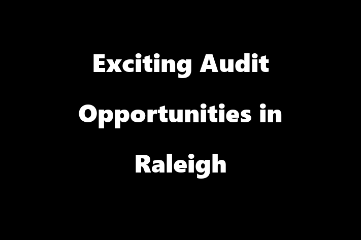 Exciting Audit Opportunities in Raleigh