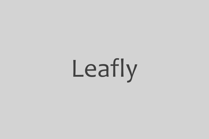 Technology Solutions Firm Leafly