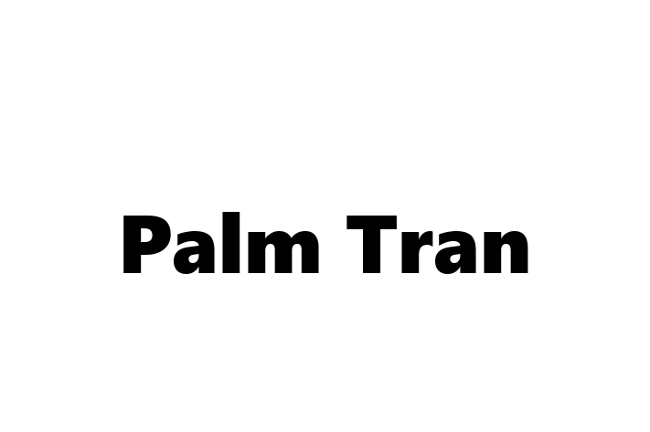 People Management Palm Tran