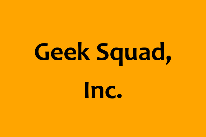 Technology Solutions Firm Geek Squad Inc.