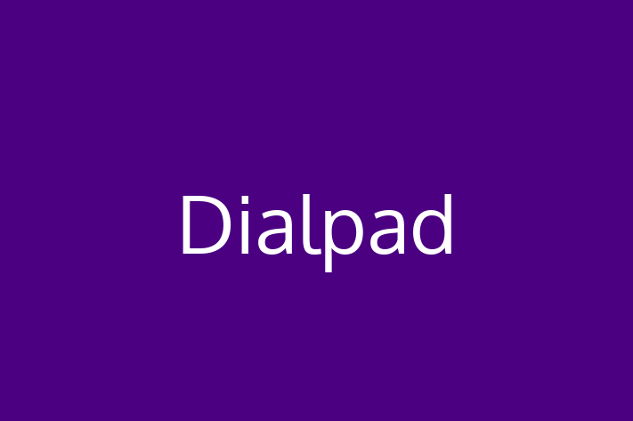 Digital Solutions Provider Dialpad