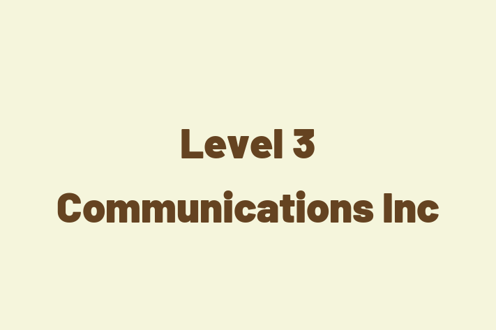 Software Engineering Company Level 3 Communications Inc