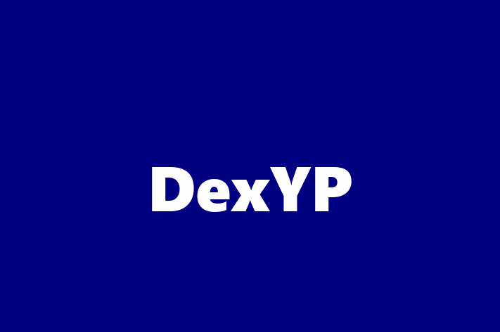 Tech Firm DexYP