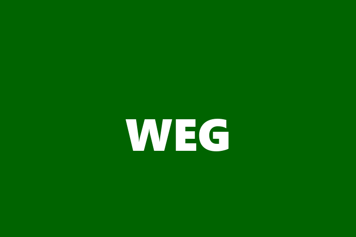 Software Solutions Provider WEG