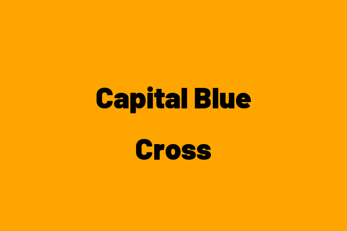 People Management Capital Blue Cross