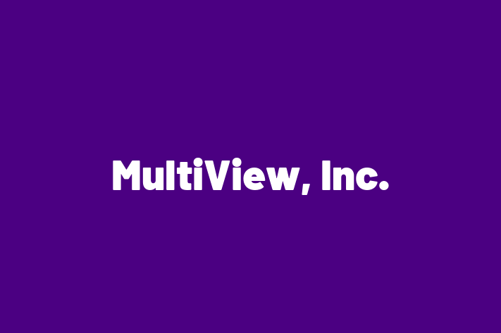 Software Consultancy MultiView Inc.