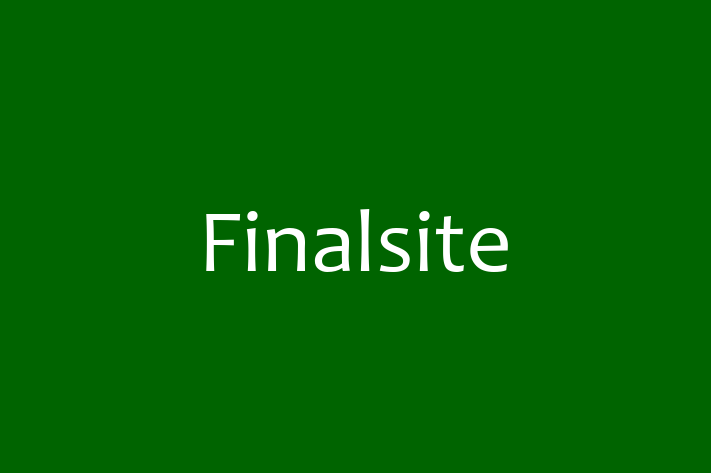 Software Development Firm Finalsite