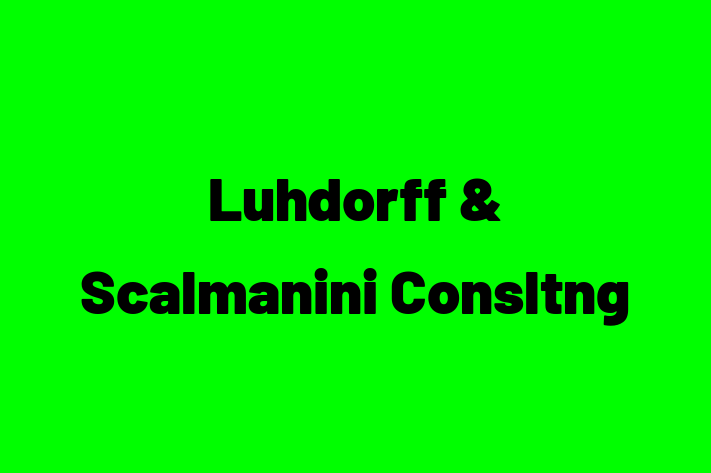 Software Consultancy Luhdorff  Scalmanini Consltng