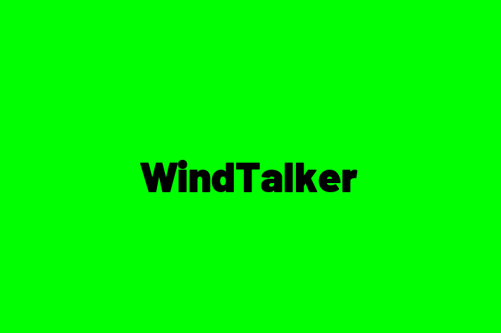 Application Development Company WindTalker