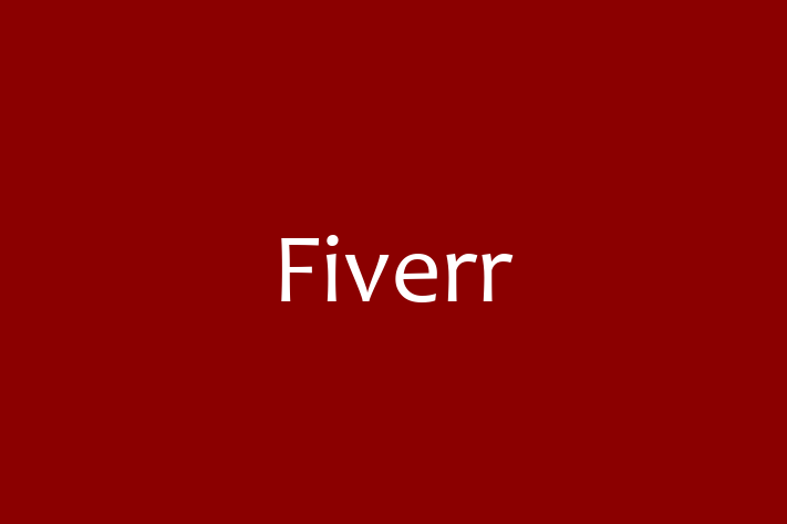 IT Company Fiverr