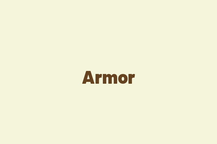 Software Firm Armor