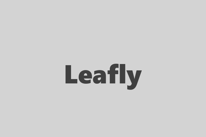 Software Solutions Provider Leafly