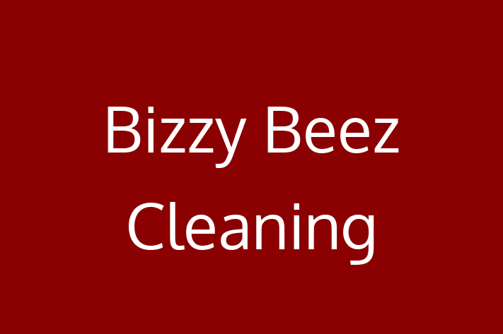 Home Cleaning Bizzy Beez Cleaning