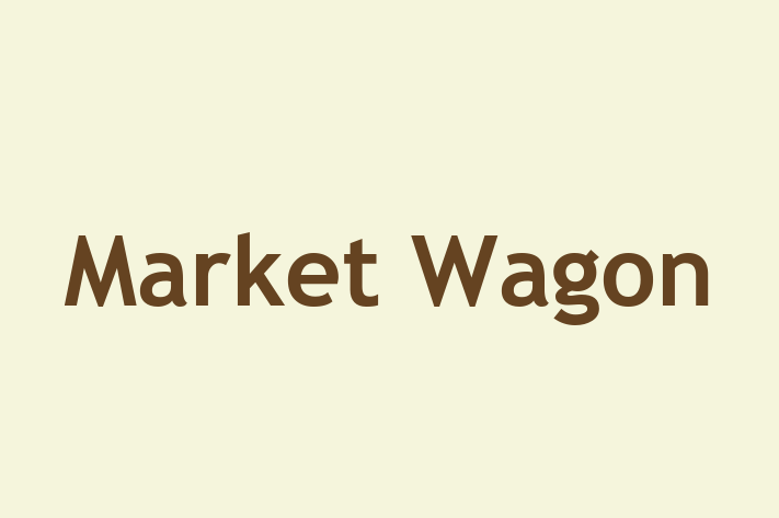 Workforce Management Market Wagon