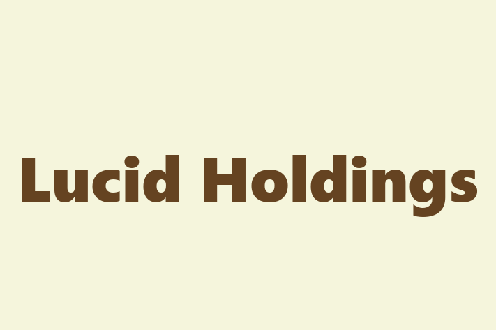 Tech Firm Lucid Holdings