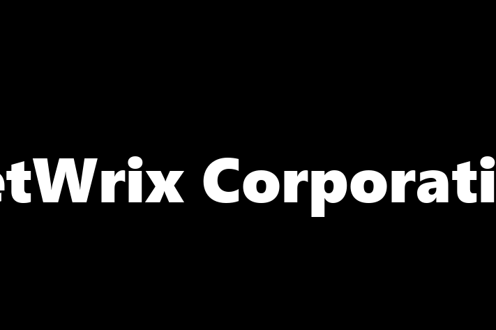 IT Company NetWrix Corporation