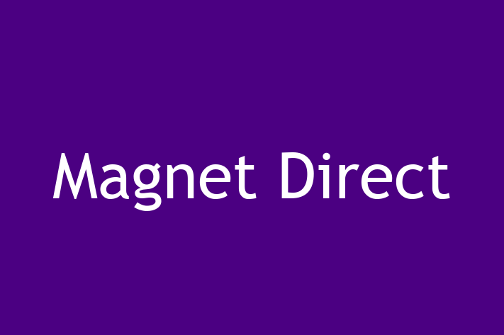 Software Development Company Magnet Direct