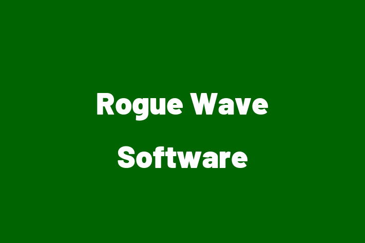 Application Development Company Rogue Wave Software