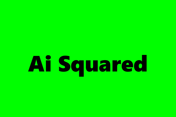 Digital Solutions Provider Ai Squared