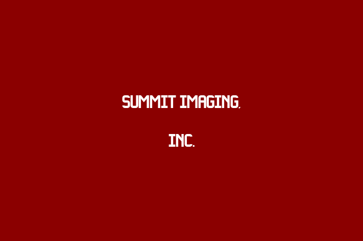 Digital Solutions Provider Summit Imaging Inc.