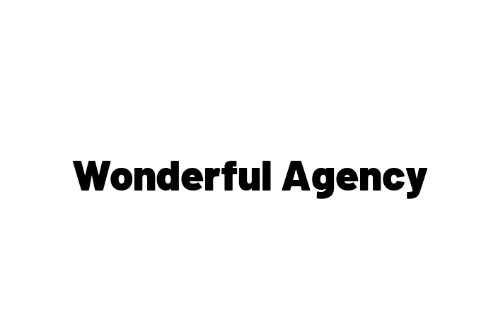 Software Engineering Company Wonderful Agency