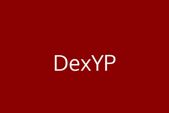 Software Development Company DexYP